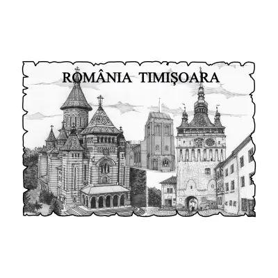Mgs031-magnet frigider-timisoara romania